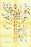 small image of the gracie tree