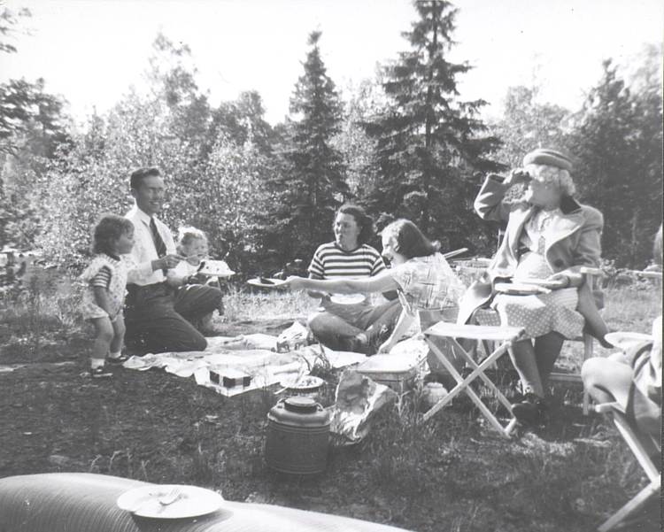 Three generations of Dobies at a picnic.